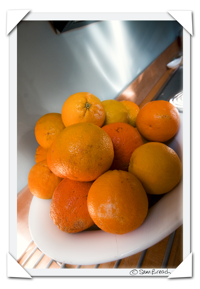 [Valencia+Oranges+by+Sam+Breach+1.jpg]