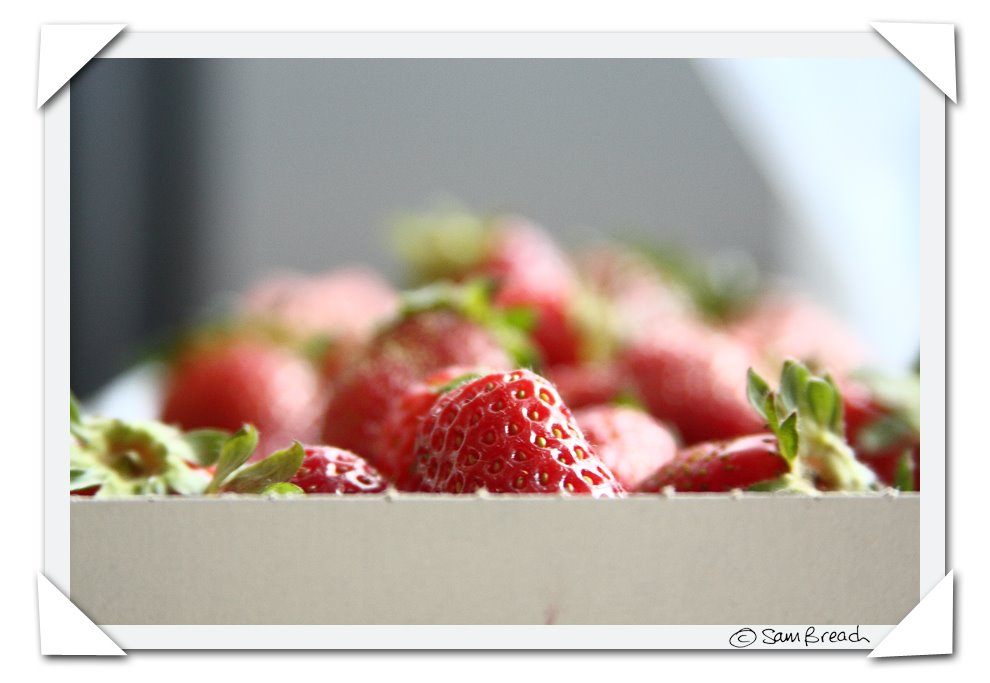 [swantn+strawberries+by+sam+breach.jpg]
