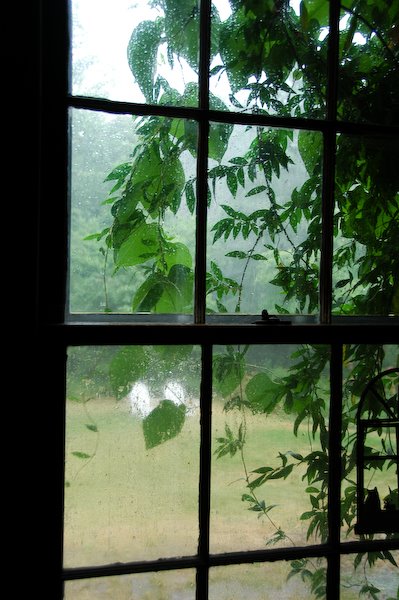 [rain+at+the+window.jpg]