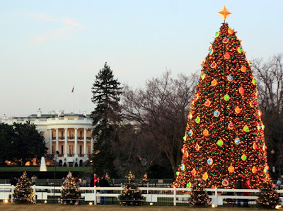 White House Christmas tree Wallpapers