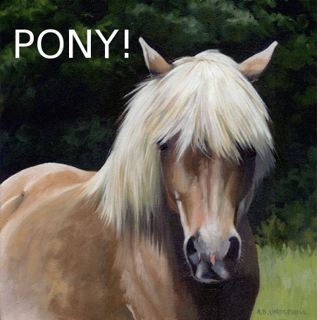 [pony.jpg]