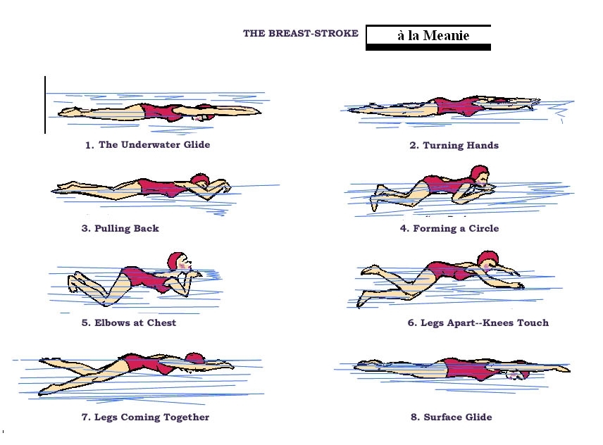 [breaststroke2.jpg]
