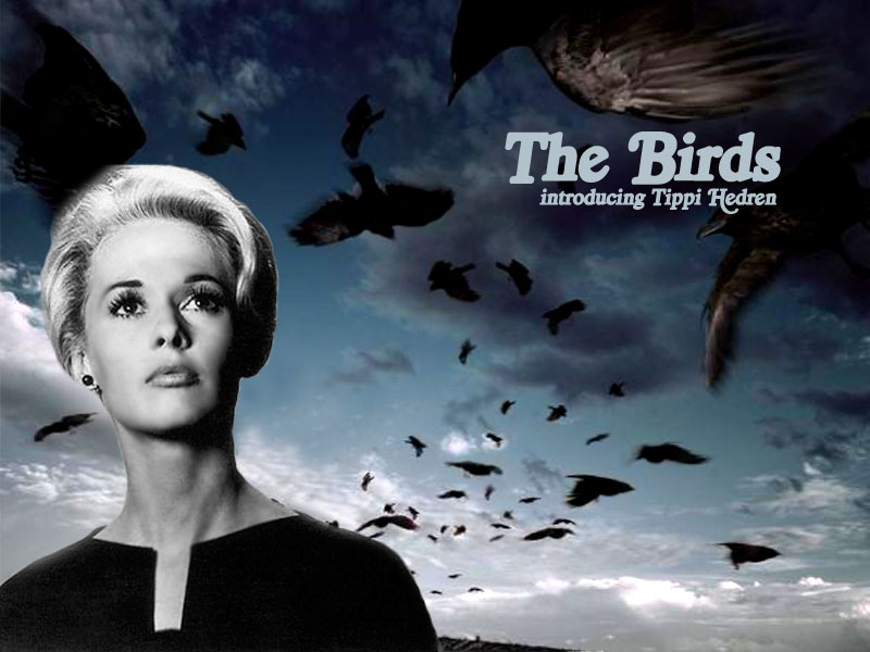 [The+Birds+-+Hitchcock+01.JPG]