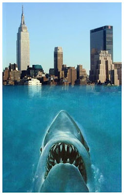 Great white shark occurrence recorded in Fishes of the vicinity of New York city.