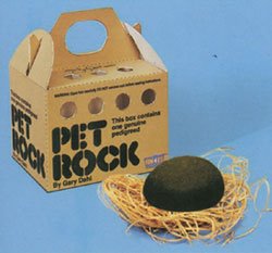 [pet+rock.bmp]