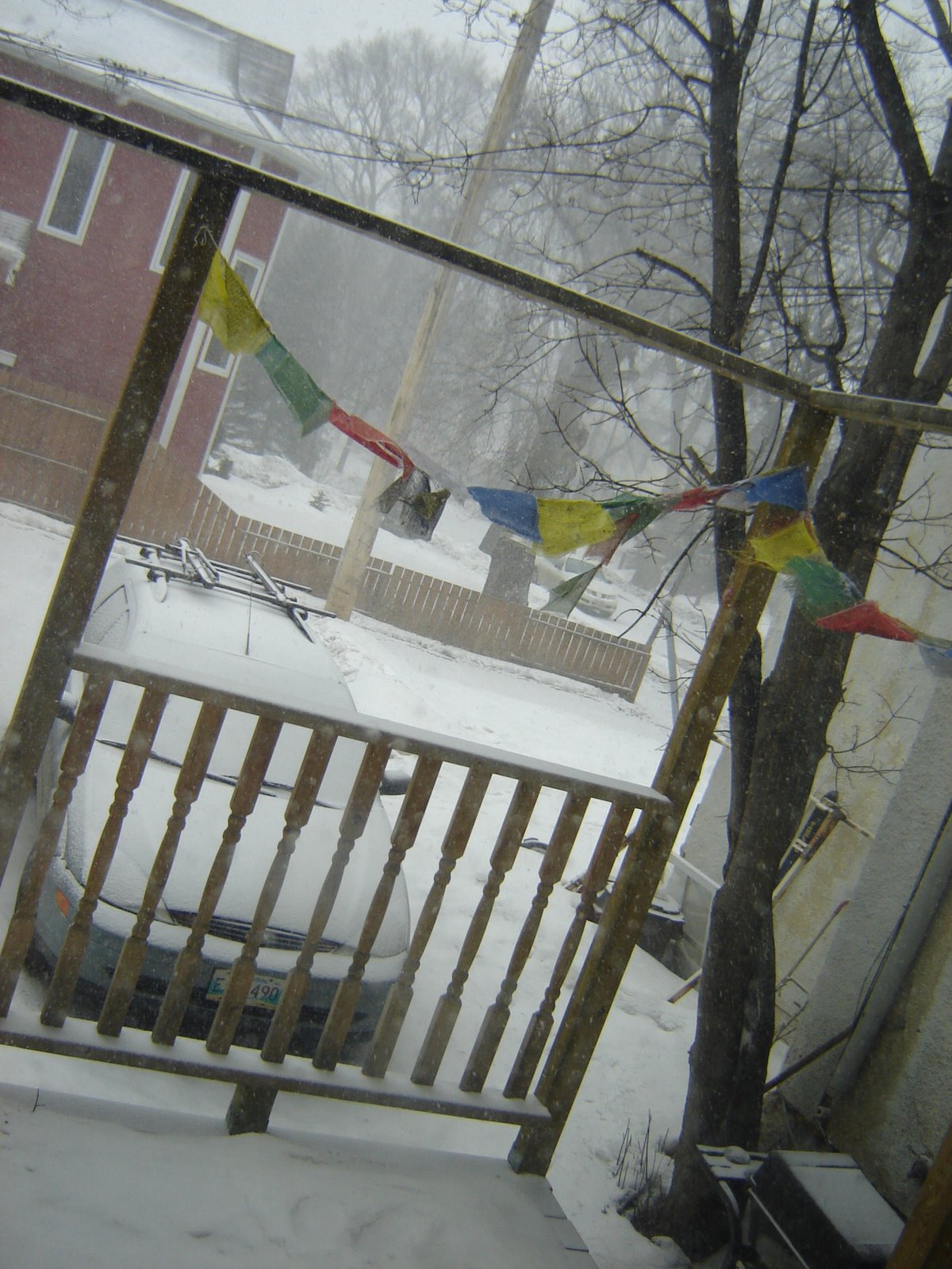 [spring+snow+003.JPG]