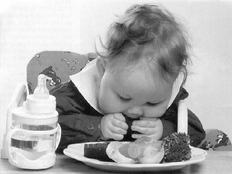 [bebe+comendo.jpg]
