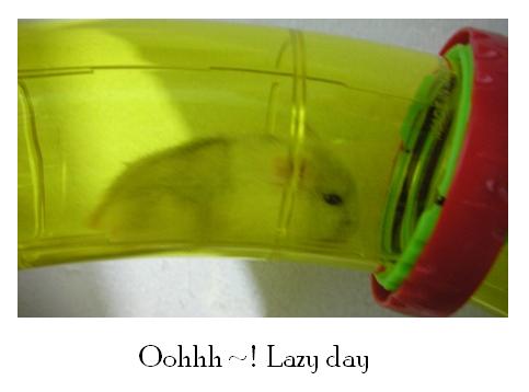 [Oohhh~!+Lazy+day.JPG]