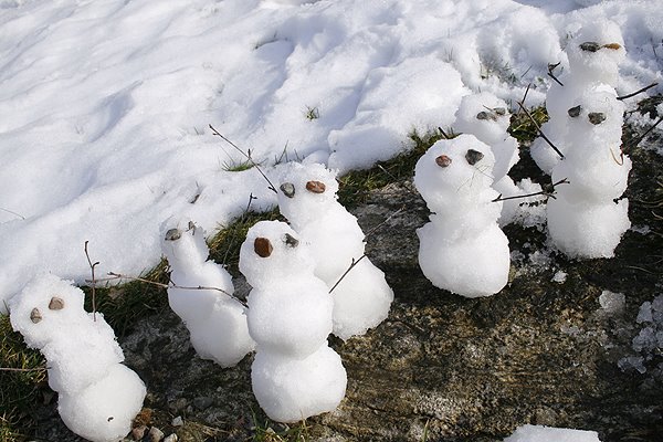 [snowmen.jpg]