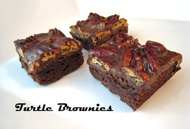 [turtle+brownies+from+martha.jpg]