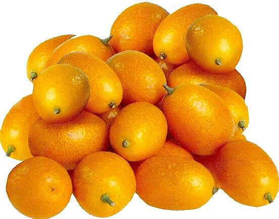 [kumquats.jpg]