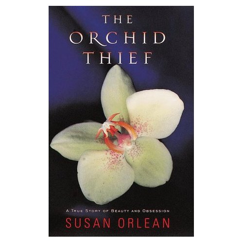 [orchid+thief+cover.jpg]