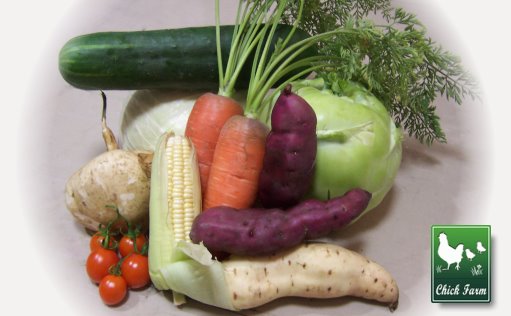 [chick+farm's+vegetables.jpg]