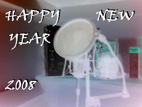 [new+year+08.JPG]