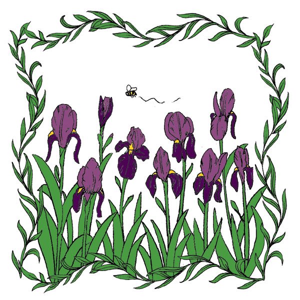 [Irises+w+ivy.jpg]