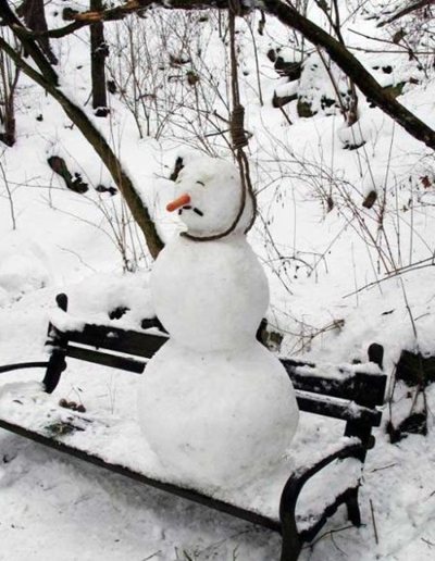 [suicidal-snowman.jpg]