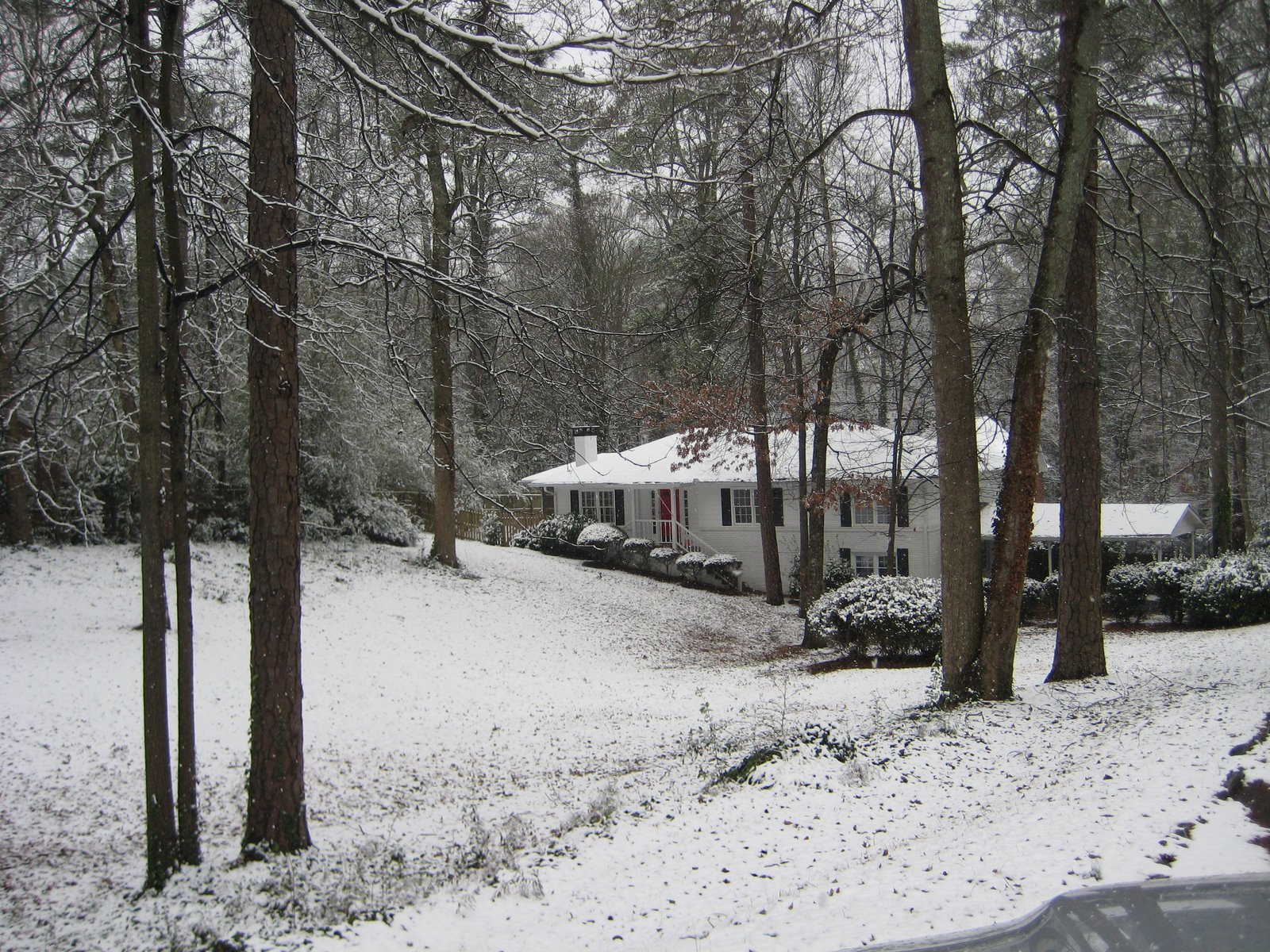 [snow+in+Atlanta+009.jpg]