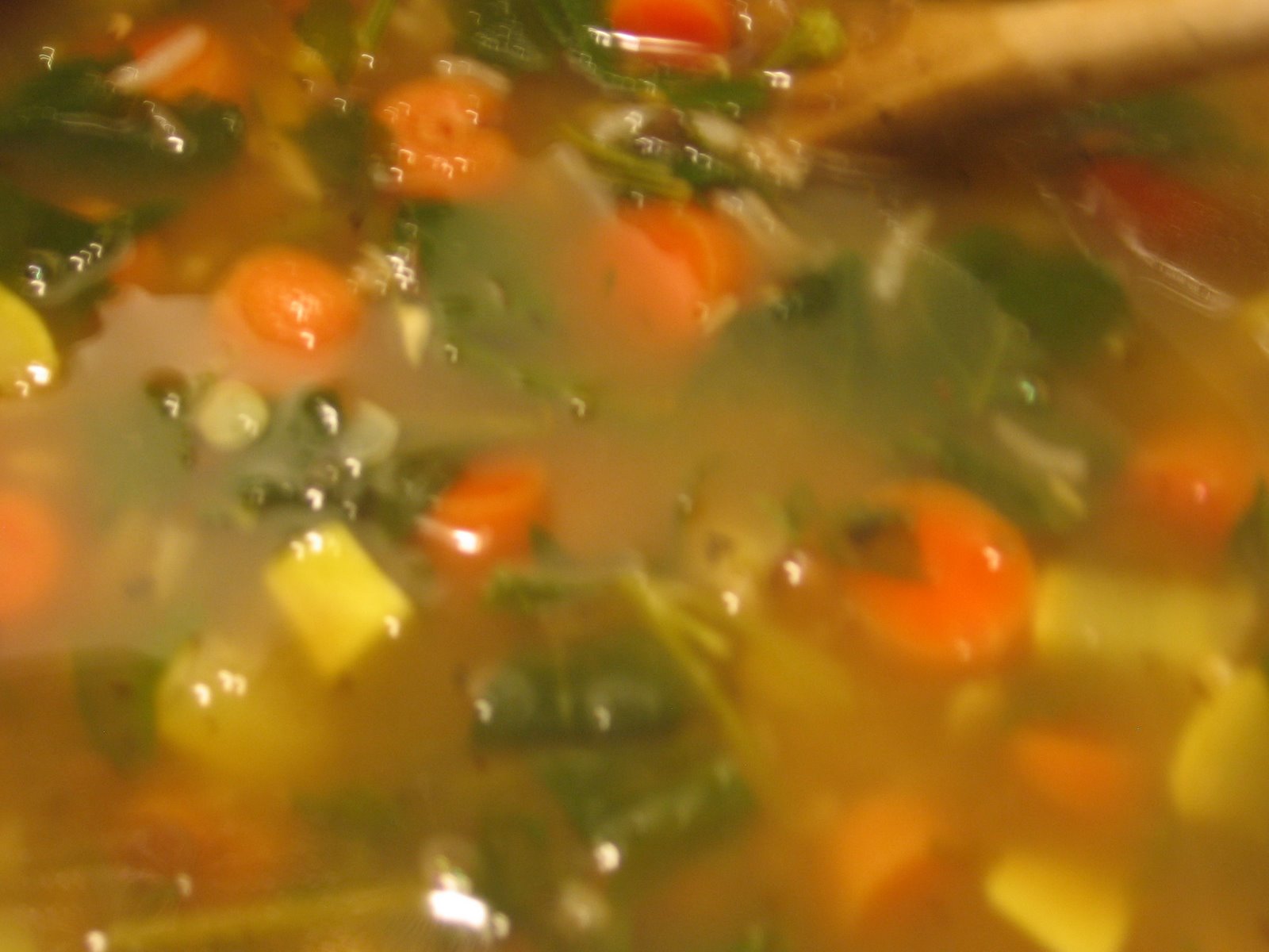 [lentil+vegetable+soup.png]
