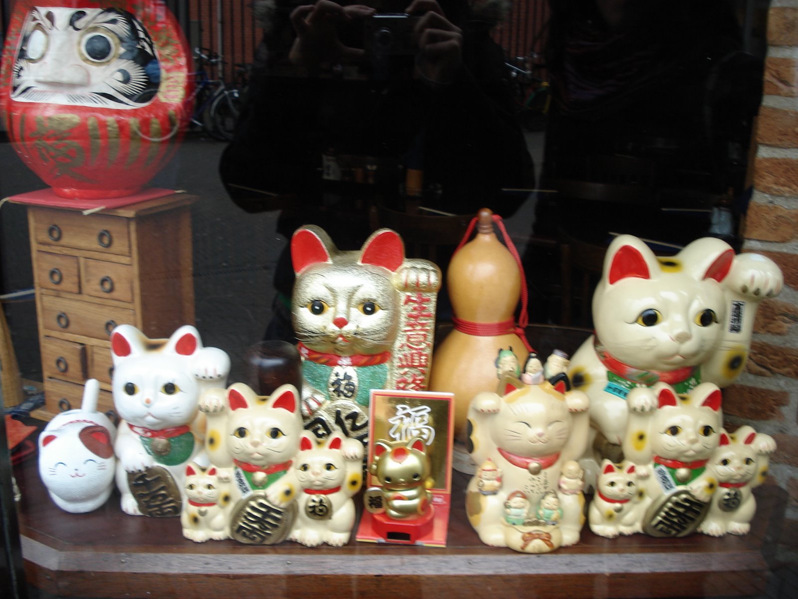 [Familia+de+gatos+chinos.+LA+HAYA..JPG]