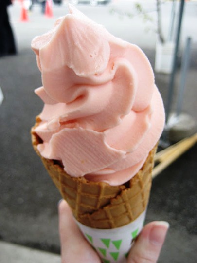 sakuranbo japanese cherry ice cream from Fruitsland Japan