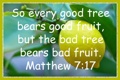 [Every+Good+Tree+Bears+Good+Fruit.jpg]
