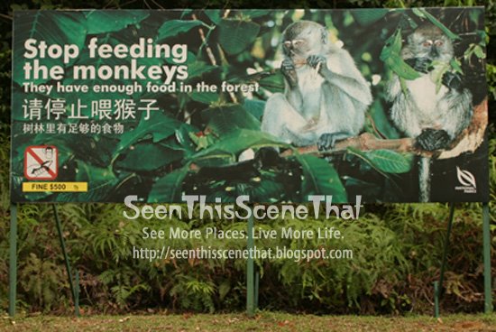 [Feed+No+Monkeys.jpg]
