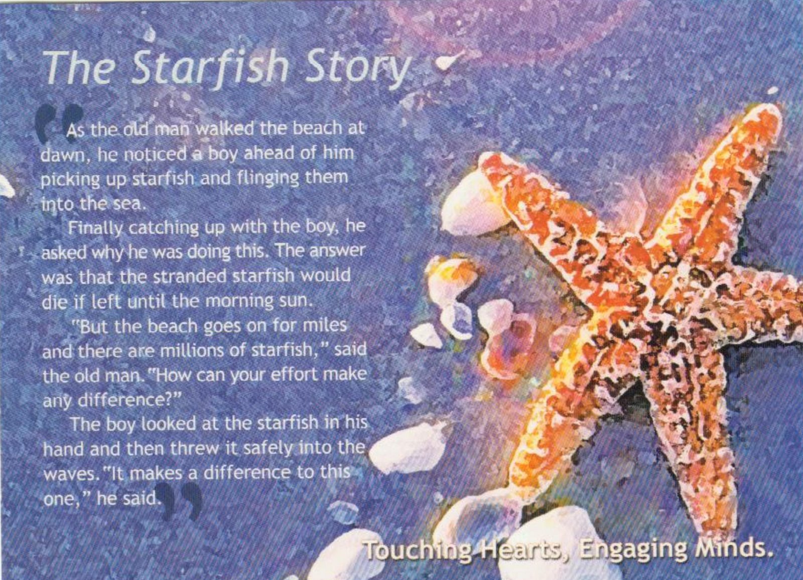 [The+Starfish+Story.jpg]