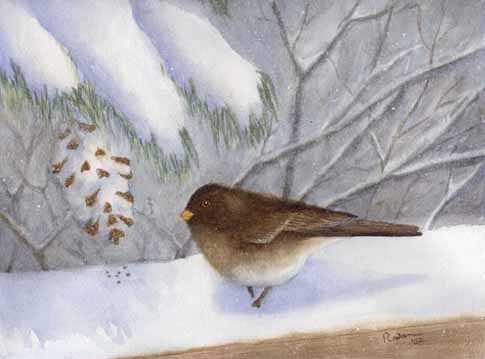 [WC+winter+bird+Christmas+07.jpg]