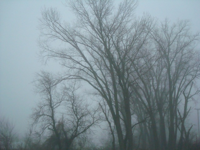 [fog1.JPG]