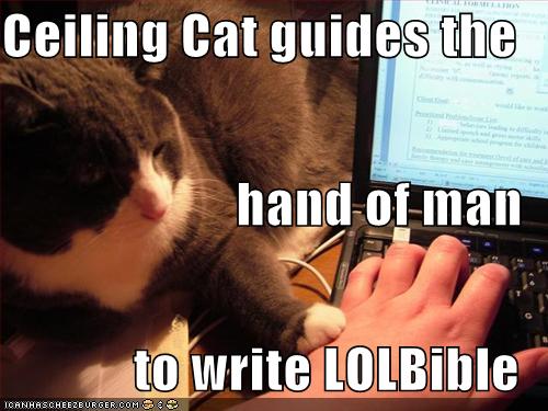 [funny-pictures-ceiling-cat-laptop-lolbible.jpg]