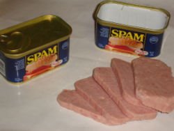 [250px-Spam_with_cans.jpeg]