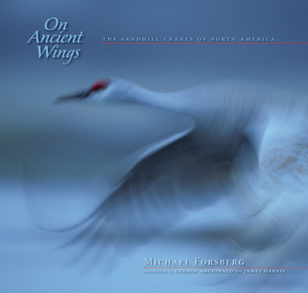 [ON ANCIENT WINGS COVER.jpg]