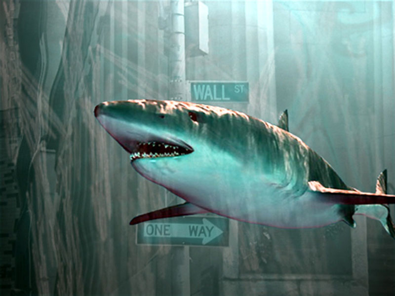 [Shark-on-wall-street.jpg]