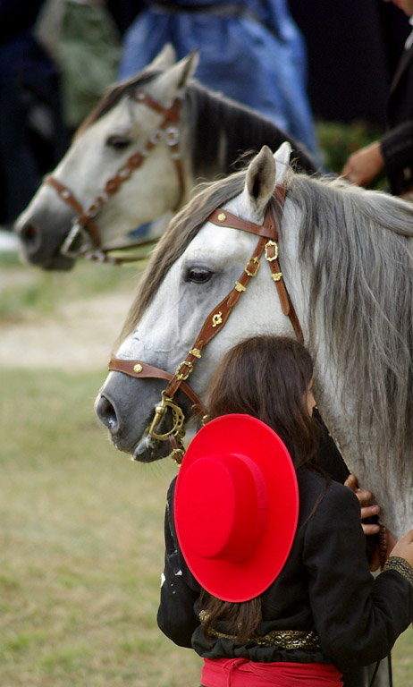 [Equestria2007-16-768.jpg]