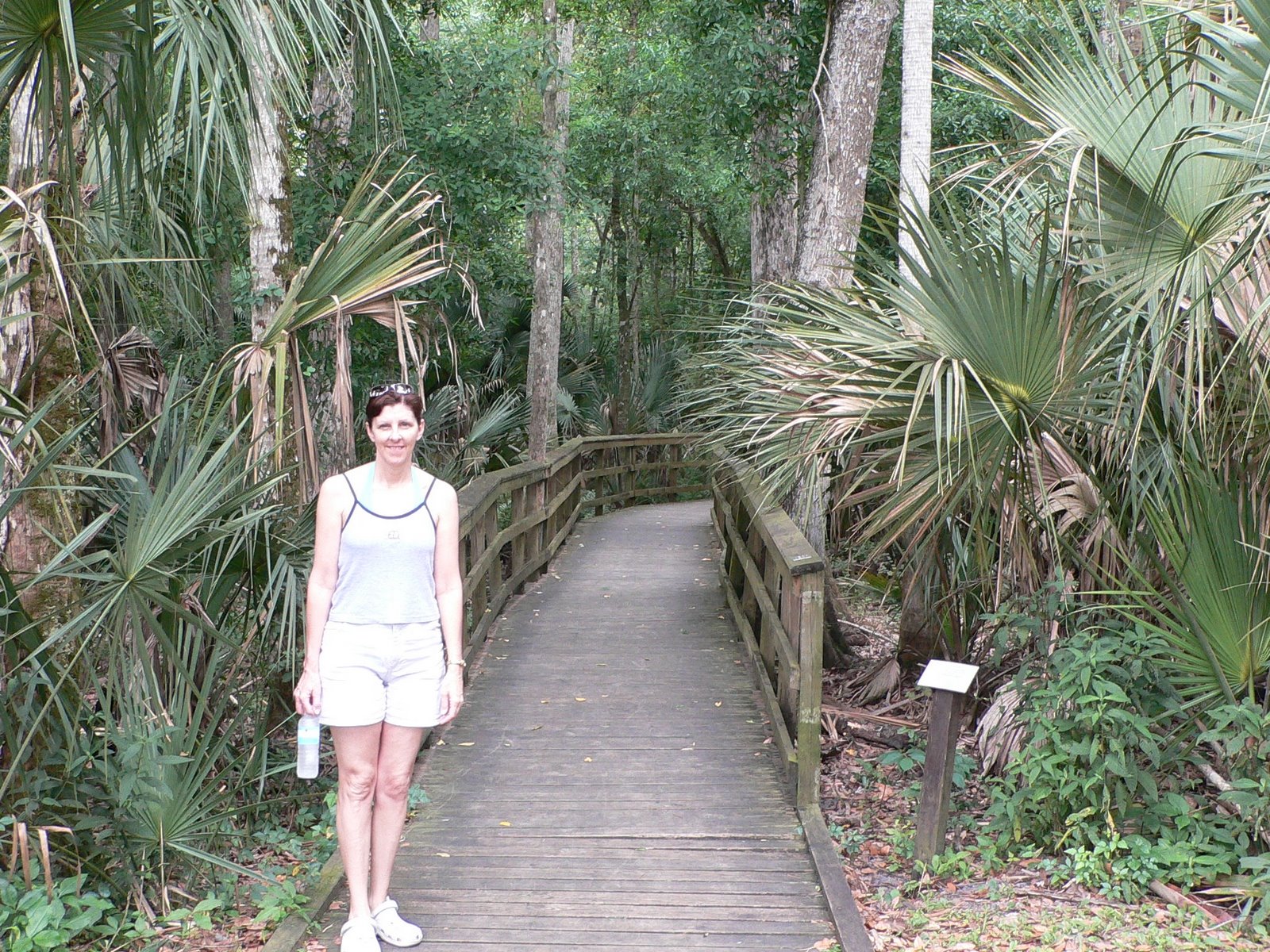[Entrance+to+Cypress+Swamp+Trail+Boardwalk.JPG]