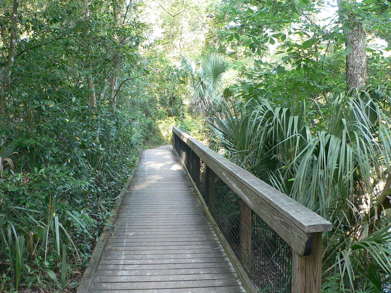 [river+trail+boardwalk.JPG]