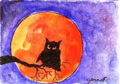 [owl+moon.jpg]