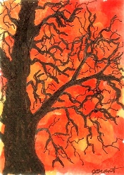 [Tree+orange+background.jpg]