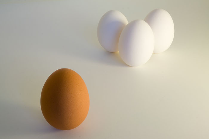 [special-egg.jpg]