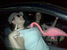 The Damn Flamingo