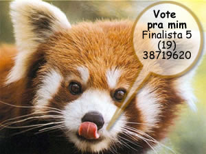[red_panda_vote.jpg]