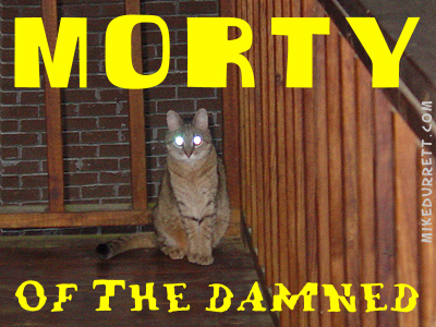 Morty Cat as Morty of the Damned