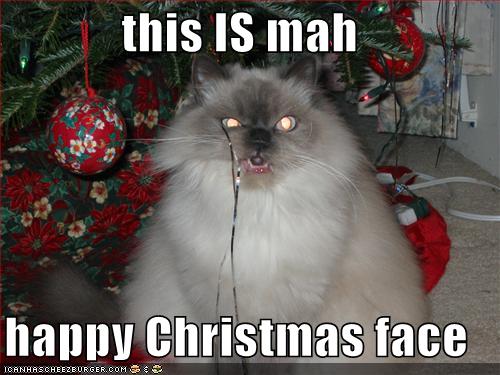 [funny-pictures-my-happy-christmas-face.jpg]