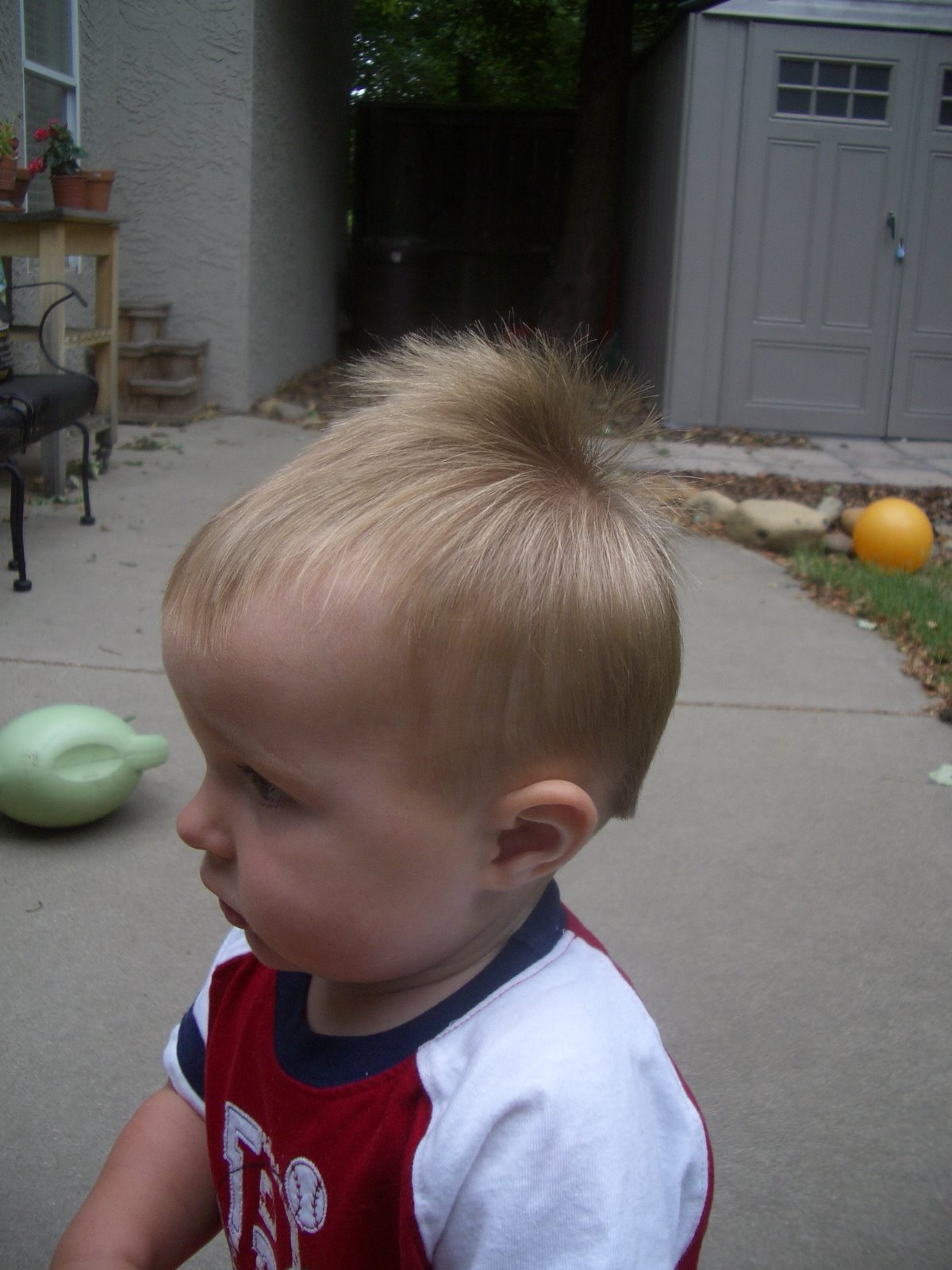 [2008-05-23+=+Big+Boy+Haircut+005.jpg]