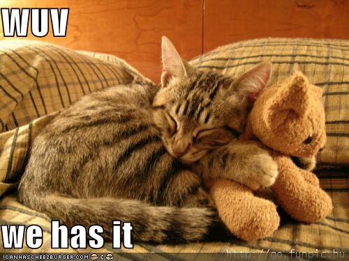 [funny-pictures-cat-hugs-stuffed-bear.jpg]