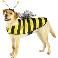 [PE-bumble-bee-costume.jpg]