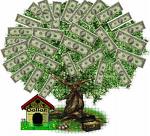 [money+tree.jpg]