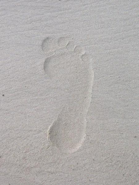 [White-sand-footprint-Havelock-2.jpg]