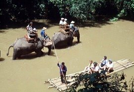 [elephant-safari-bamboo-rafting.jpg]