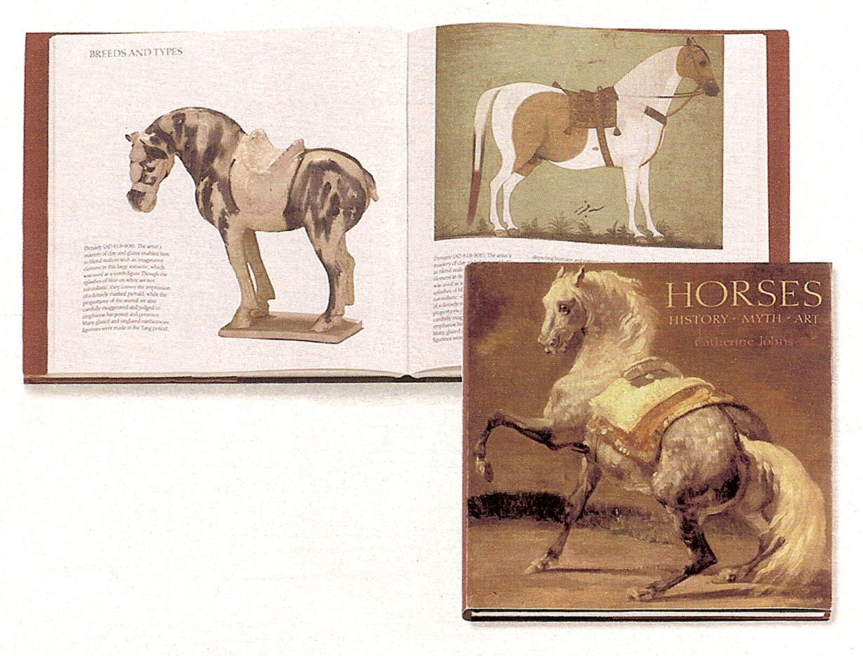 [HorseBook.jpg]